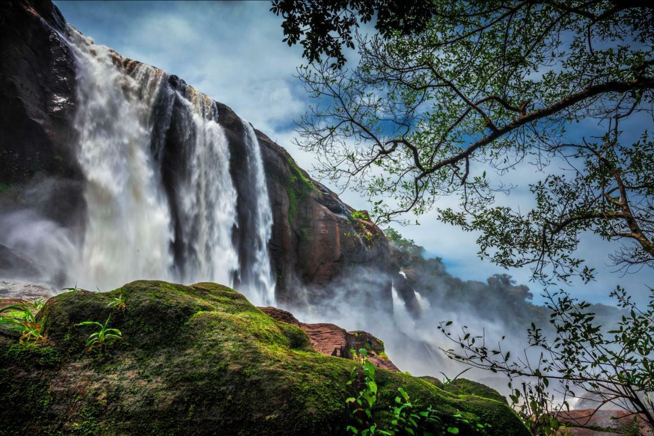 Niraamaya Retreats Samroha Athirappilly Exteriér fotografie